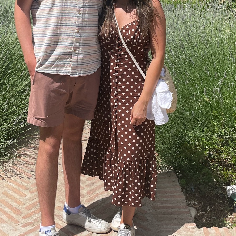 Zara Brown Polka Dot Dress